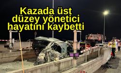 Kazada üst düzey yönetici hayatını kaybetti