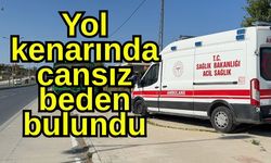 Yol kenarında cansız beden bulundu