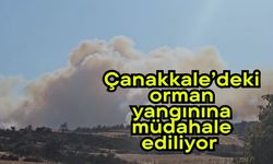 Çanakkale’deki orman yangınına müdahale ediliyor