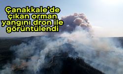 Çanakkale’de çıkan orman yangını dron ile görüntülendi