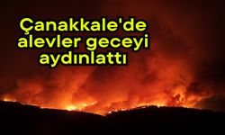 Çanakkale'de alevler geceyi aydınlattı
