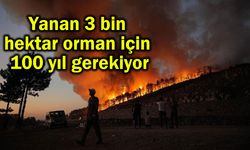 Yanan 3 bin hektar orman için 100 yıl gerekiyor (Video)