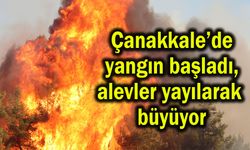 Çanakkale’de yangın başladı, alevler yayılarak büyüyor