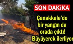 Çanakkale’de bir yangın da orada çıktı