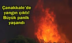 Çanakkale’de yangın çıktı, büyük panik yaşandı