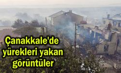 Çanakkale'de yürek yakan görüntüler