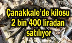 Çanakkale’de kilosu 2 bin 400 liradan satılıyor