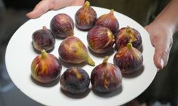 Daha sağlıklı yaşamak için inciri kabuğu ile yiyin
