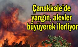 Çanakkale’de yangın, alevler büyüyerek ilerliyor