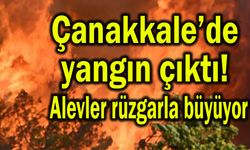Çanakkale’de yangın çıktı! Alevler rüzgarla büyüyor