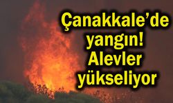 Çanakkale’de yangın! Alevler yükseliyor