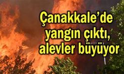 Çanakkale’de yangın çıktı, alevler büyüyor