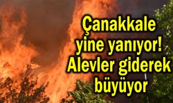 Çanakkale yine yanıyor! Alevler giderek büyüyor