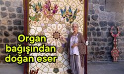 Organ bağışından doğan eser