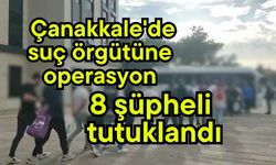 Çanakkale'de suç örgütüne operasyon (Video)