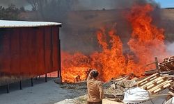 Yüzlerce palet alev alev yandı