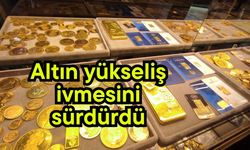 Altın yükseliş ivmesini sürdürdü