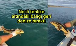 Nesli tehlike altındaki balığı geri denize bıraktı (Video)