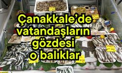 Çanakkale’de vatandaşların gözdesi o balıklar