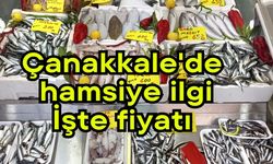Çanakkale'de hamsiye ilgi, işte fiyatı