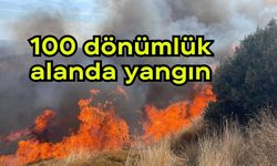 100 dönümlük alanda yangın