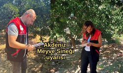 Akdeniz Meyve Sineği uyarısı