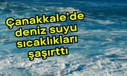 Çanakkale’de deniz suyu sıcaklıkları şaşırttı