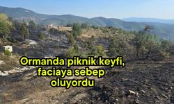 Ormanda piknik keyfi, faciaya sebep oluyordu