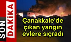 Çanakkale'de çıkan yangın evlere sıçradı