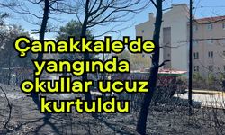 Çanakkale'de yangında okullar ucuz kurtuldu