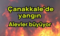 Çanakkale'de yangın, alevler büyüyor