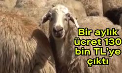 Bir aylık ücret 130 bin TL’ye çıktı