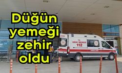 Düğün yemeği zehir oldu (Video)