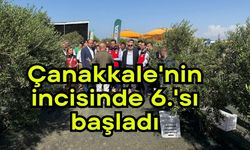 Çanakkale'nin incisinde 6.'sı başladı