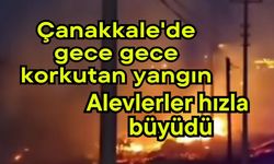Çanakkale'de gece gece korkutan yangın, alevlerler hızla büyüdü