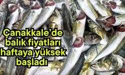 Çanakkale’de balık fiyatları haftaya yüksek başladı