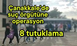 Çanakkale'de suç örgütüne operasyon (Video)