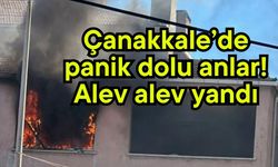 Çanakkale’de panik dolu anlar! Alev alev yandı
