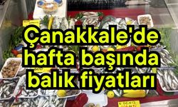 Çanakkale'de hafta başında balık fiyatları