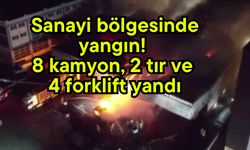 Sanayi bölgesinde yangın! 8 kamyon, 2 tır ve 4 forklift yandı