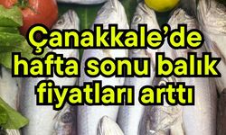 Çanakkale’de hafta sonu balık fiyatları arttı