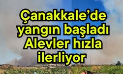 Çanakkale’de yangın başladı! Alevler hızla ilerliyor