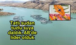 Tatlı sudan tuzlu suya daldık, AB'de lider olduk