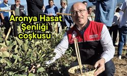 Aronya Hasat Şenliği coşkusu (Video)