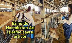 Ezine’de Hastalıktan Ari İşletme sayısı artıyor