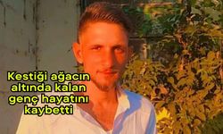 Kestiği ağacın altında kalan genç hayatını kaybetti