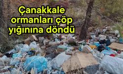 Çanakkale ormanları çöp yığınına döndü