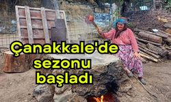 Çanakkale'de sezonu başladı