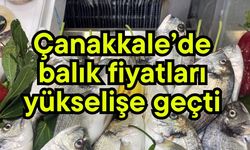 Çanakkale’de balık fiyatları yükselişe geçti