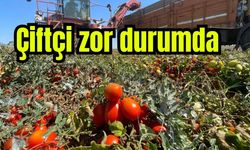 Tarımda plansızlık, üreticiyi zora sokuyor (Video)